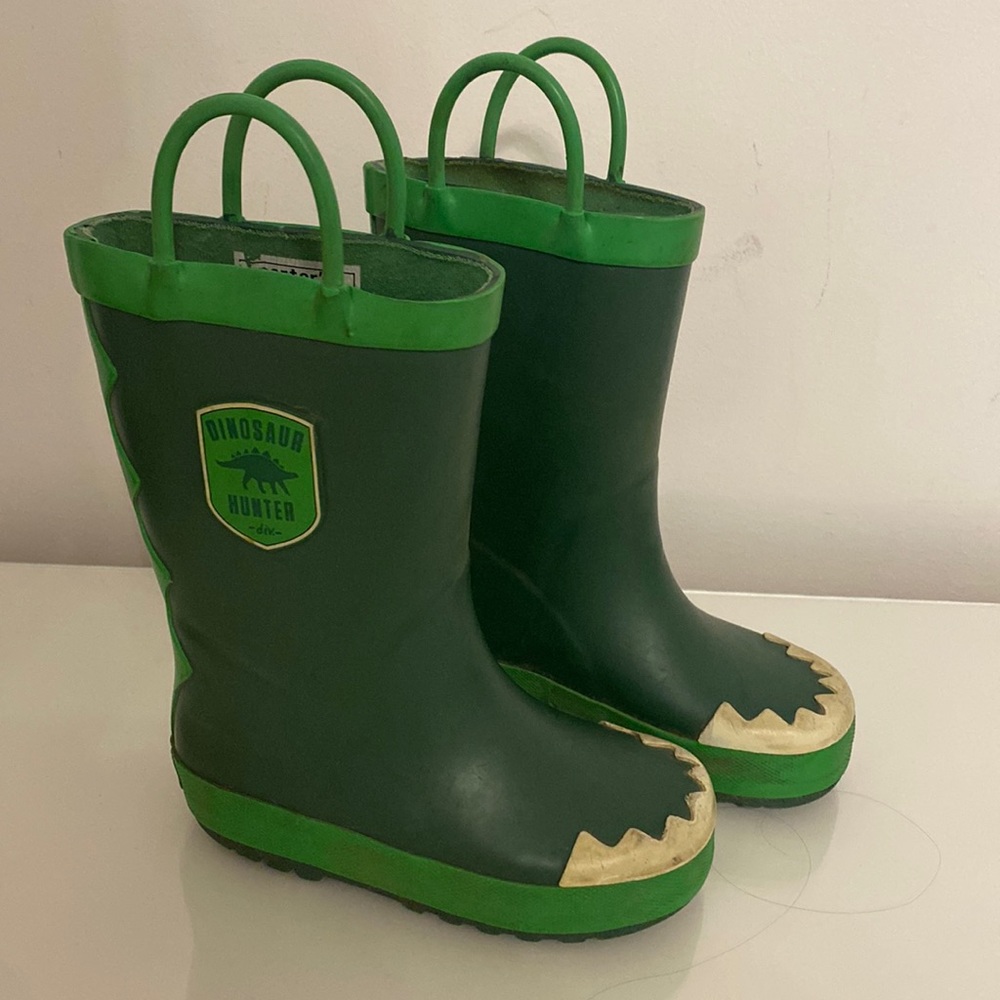 Dinosaur rainboots